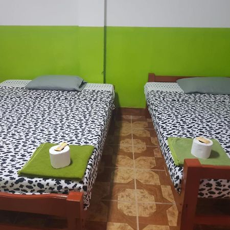 Hospedaje Jacaranda Ика Экстерьер фото